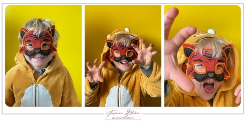 Masque Tigre