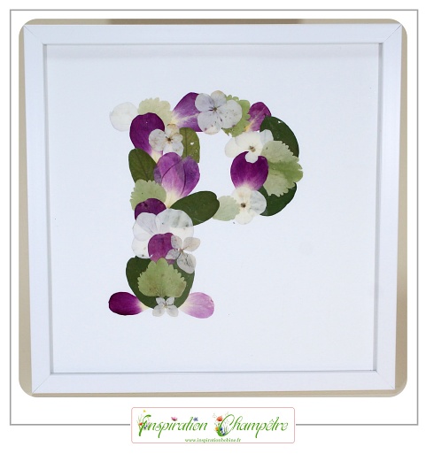 Cadre Initiale 20x20